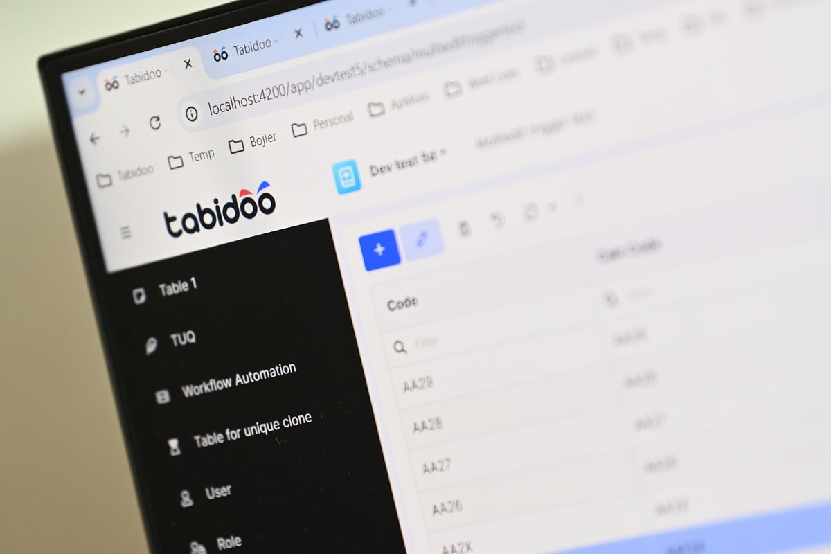 Řiďte organizaci efektivně. Se správou dat vám pomůže platforma Tabidoo
