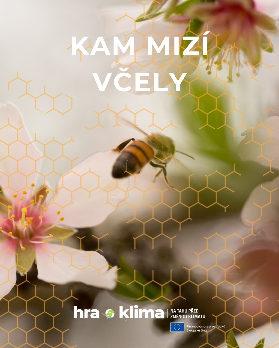 Festival Země na talíři se ponese na křídlech včel – již 20. 7.