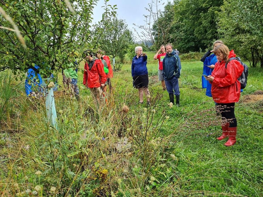Úspěšná lokální kampaň na ochranu klimatu? Půlroční akademie ukáže, jak na to