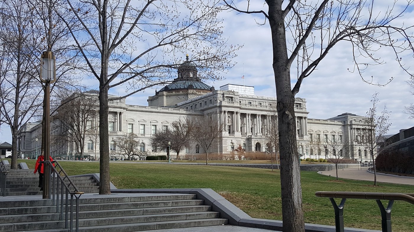 Luisa se z Washingtonu opět spojí s českými nevládkami. Pod záštitou U.S. Embassy proběhne 27. 5. její druhý online workshop - tentokrát o systémových změnách. Foto: PixaBay