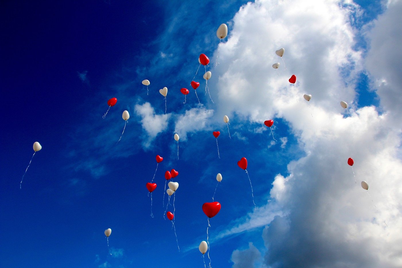 Nestyďte se v krizovém čase mluvit o dopadech své práce. Vaši dárci za vámi stojí! Foto: PixaBay