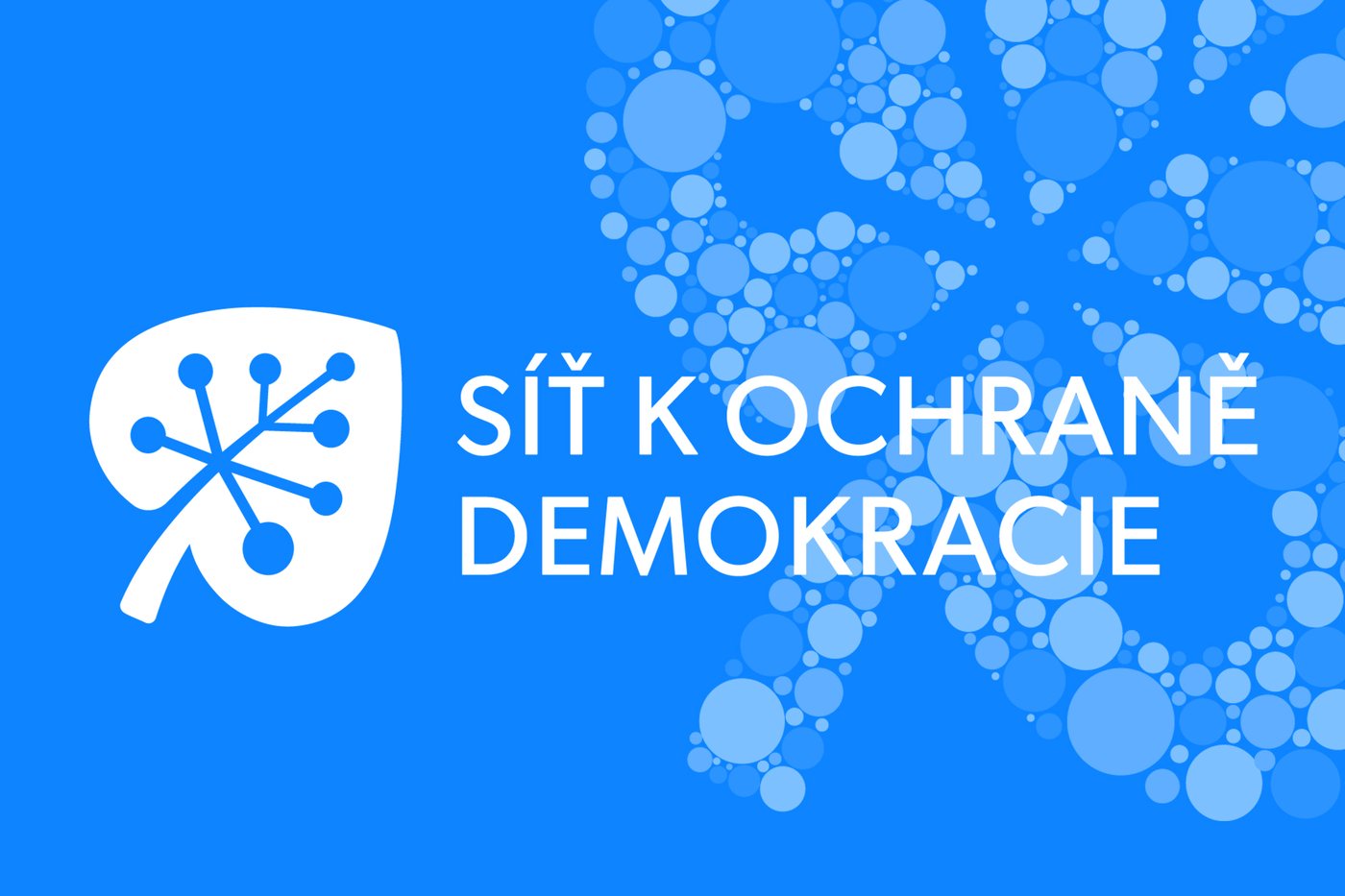 Síť k ochraně demokracie