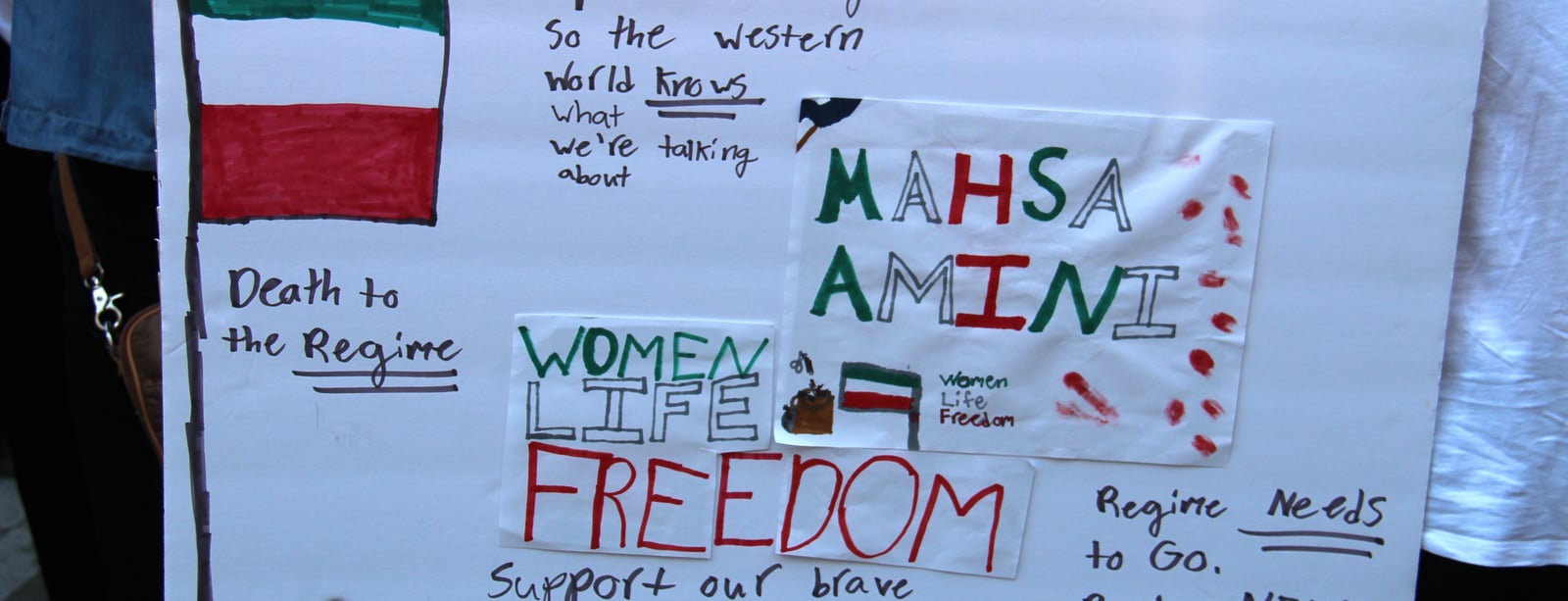 pexels-sima-ghaffarzadeh-14030193.jpg