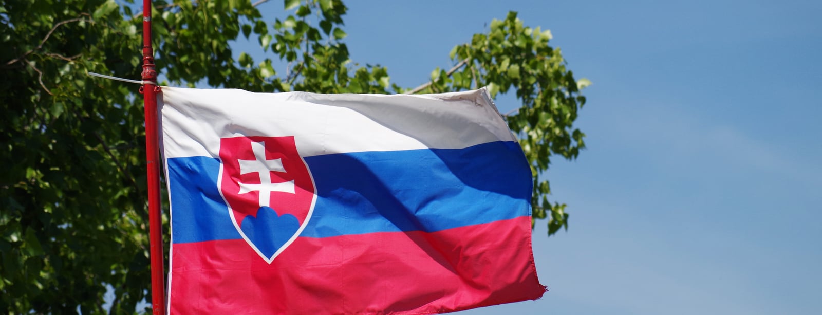 flower-wind-flag-slovakia-pledge-winnow-618055-pxhere.com.jpg