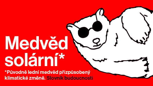 clanek_cover_630x354_medved.jpg