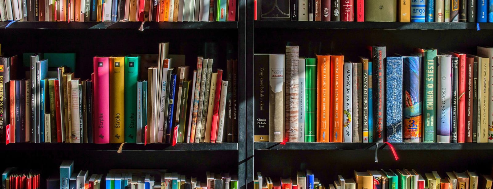 books-g9317694e9_1920.jpg