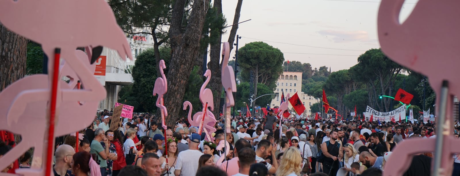 Plameňáková revoluce v Albánii ukazuje co umí nespokojená občanská společnost