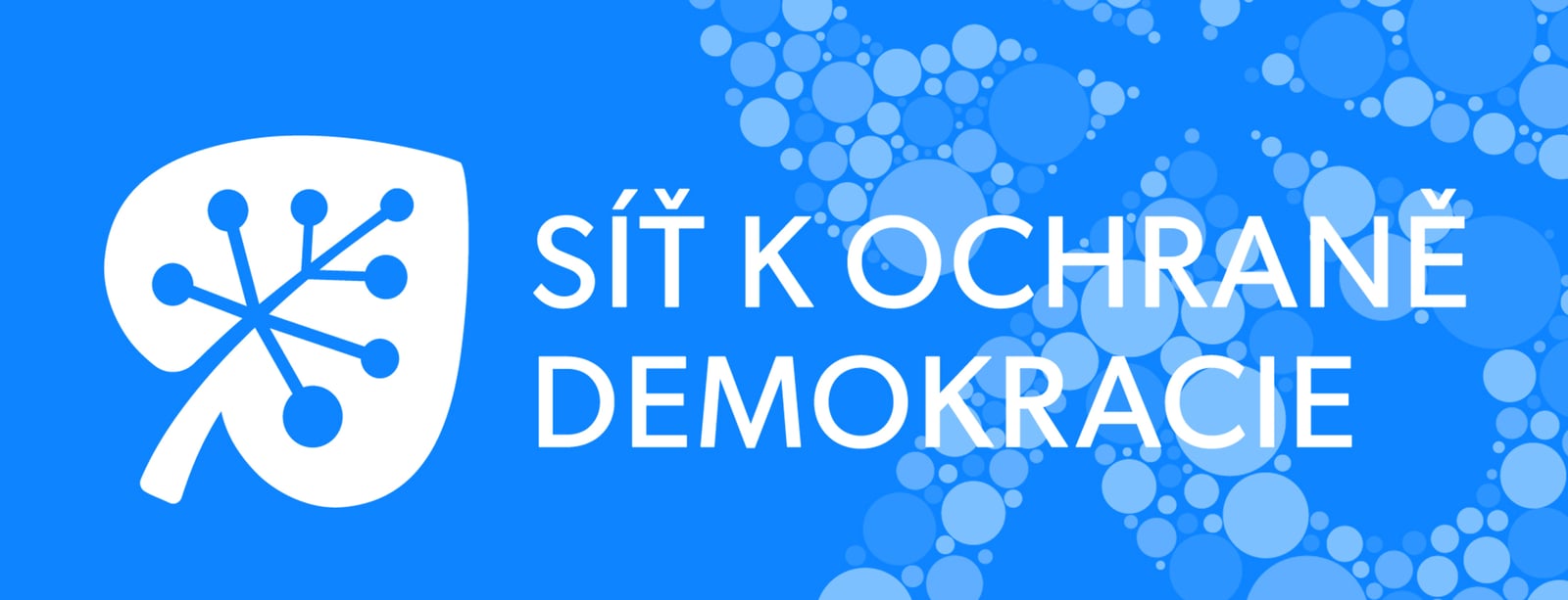 Síť k ochraně demokracie