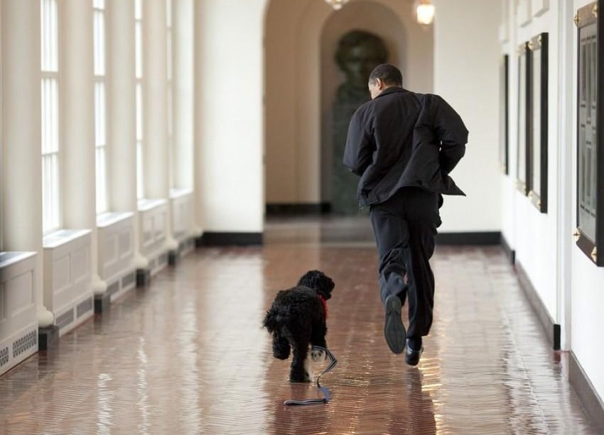 Barack Obama – nový lídr neziskovek?