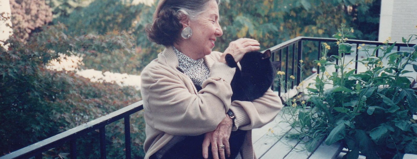 sc0019.jpg