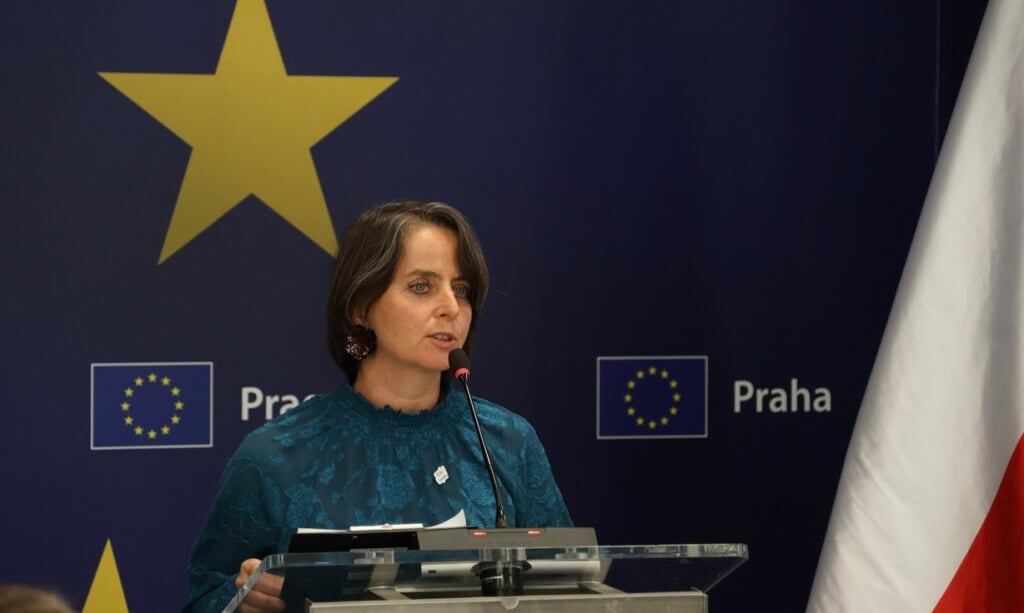 Česká občanská společnost čelí tlaku z více stran, varuje zpráva o právním státu