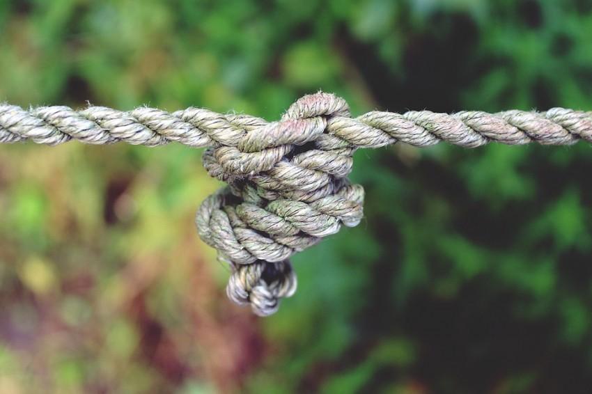 Neziskovkám se už nyní daří táhnout za jeden provaz, efekt často utužují koalice a asociace. Foto: PixaBay